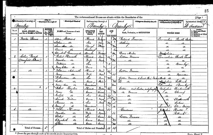 1871 census.jpg