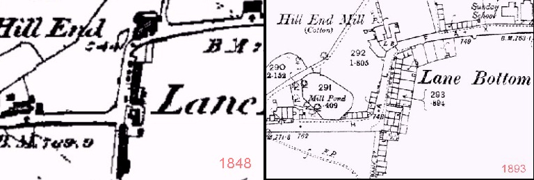 lane bottom.jpg